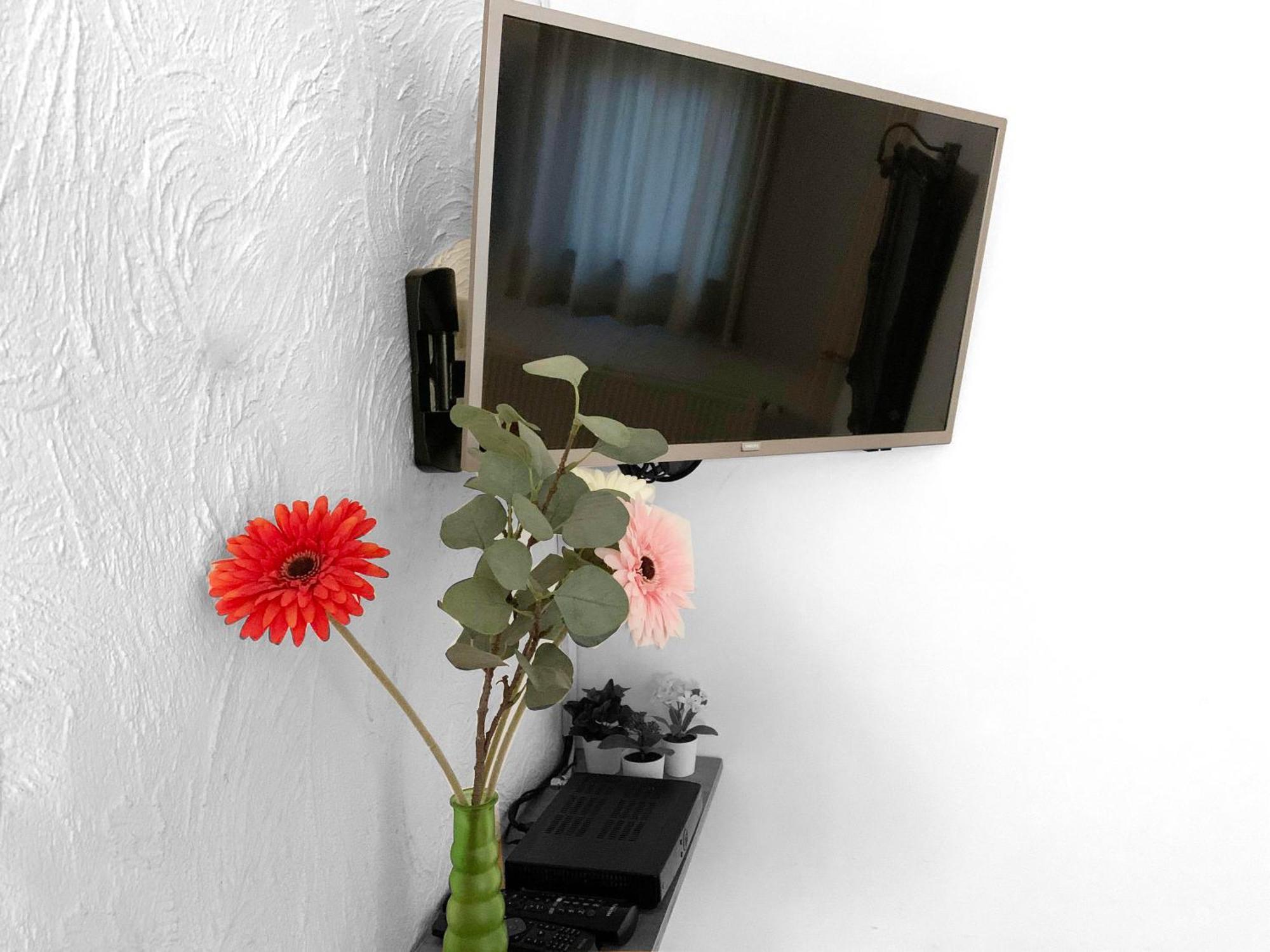 B&B En Vakantiewoningen 'T Wienhoes Wittem エクステリア 写真