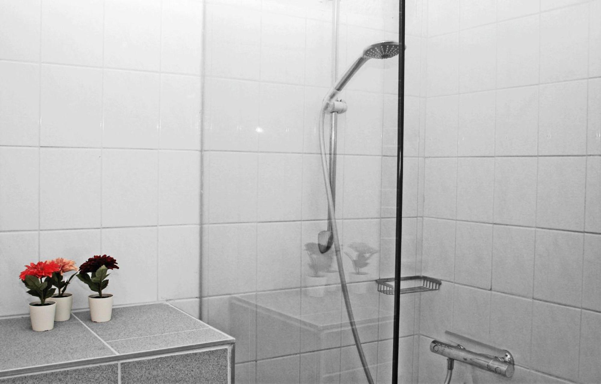 B&B En Vakantiewoningen 'T Wienhoes Wittem エクステリア 写真