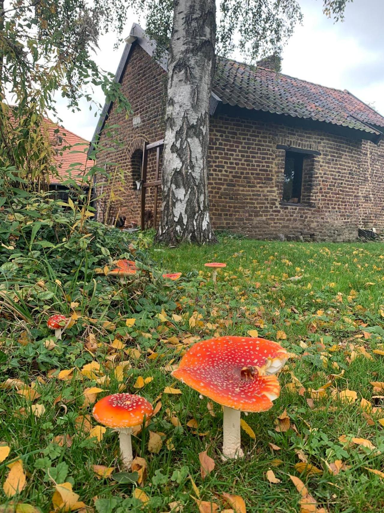 B&B En Vakantiewoningen 'T Wienhoes Wittem エクステリア 写真